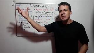 Fenomenologia: Husserl e Merleau-Ponty
