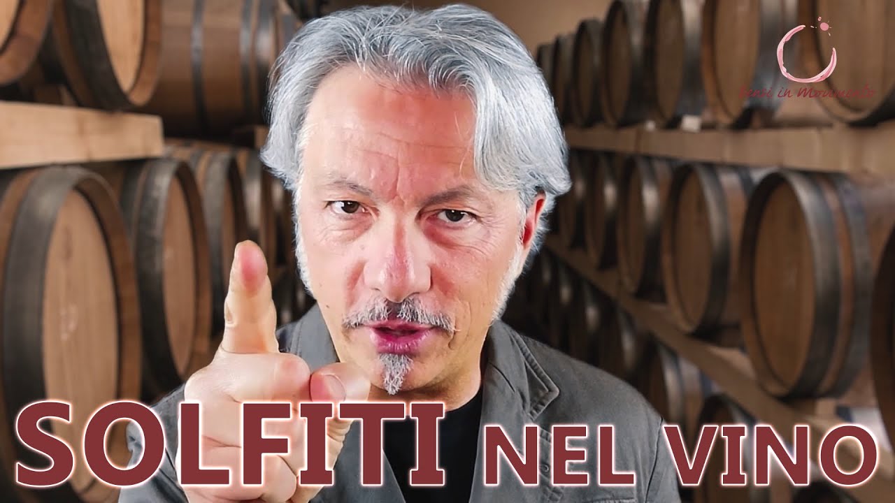 Ti spiego i SOLFITI nel VINO