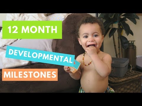 1 Year Old Typical Developmental | Developmental Milestones