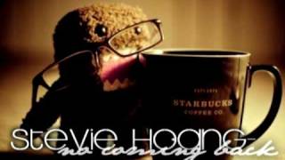 Stevie Hoang - No Coming Back