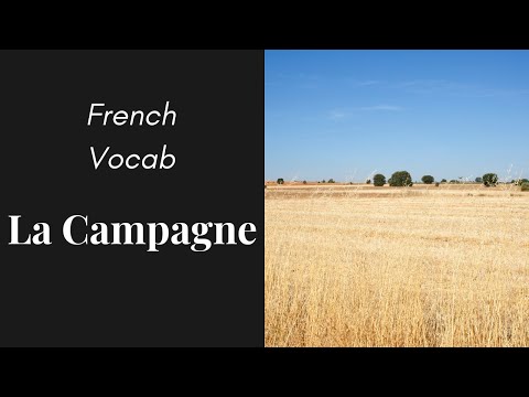 French Vocabulary Practice for Beginners - The Countryside