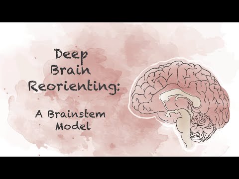 Deep Brain Reorienting: A Brainstem Model