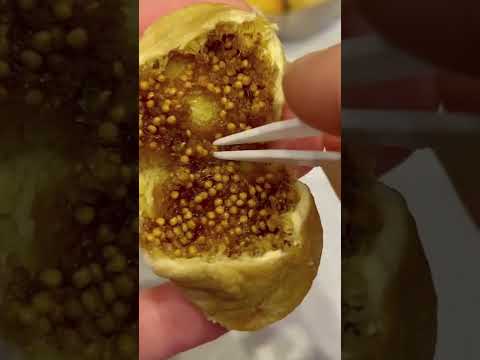 At least 1 fig we eat has a 💀 female wasp inside. Find out why with me🌱 #fig #howtowithjessie