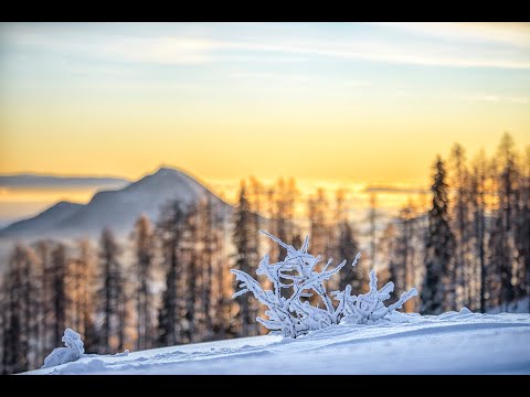 Explore the Winter Nature of the Karawanken-Karavanke UNESCO Global Geopark