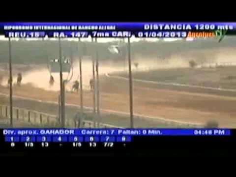 Resumen Lunes, 01 de Abril de 2013 - Rancho Alegre