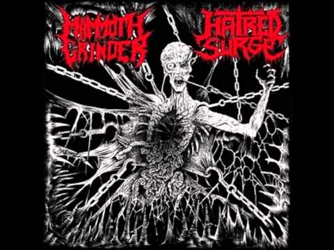 Hatred Surge- Disconnected