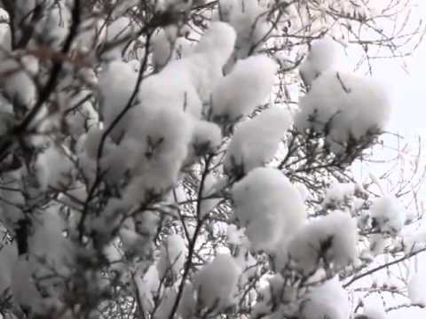 Barkwhistle Snow Squalls Dec. 2013