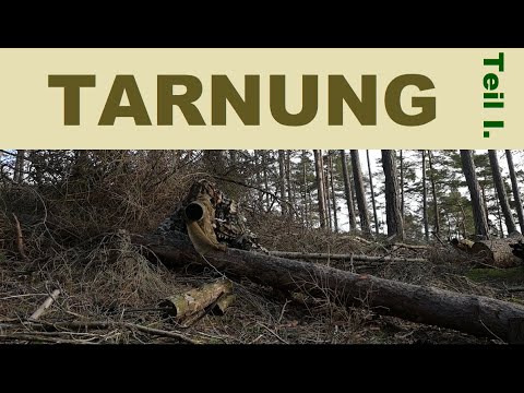 TARNUNG IN DER WILDTIER  FOTOGRAFIE - Tipp für Anfänger Wildtierfotografen - TEIL 1