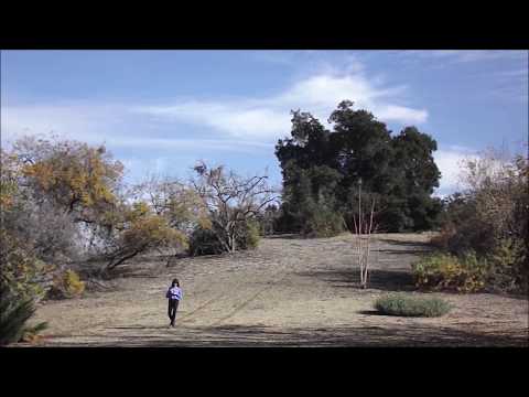 Yêu là yêu - Lâm Dung