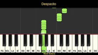 Despacito Melodika Org Notaları