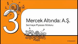 Şirket Türleri ve   Sorumluluk Farkları Neler? Sınırlı Sorumluluk Nedi