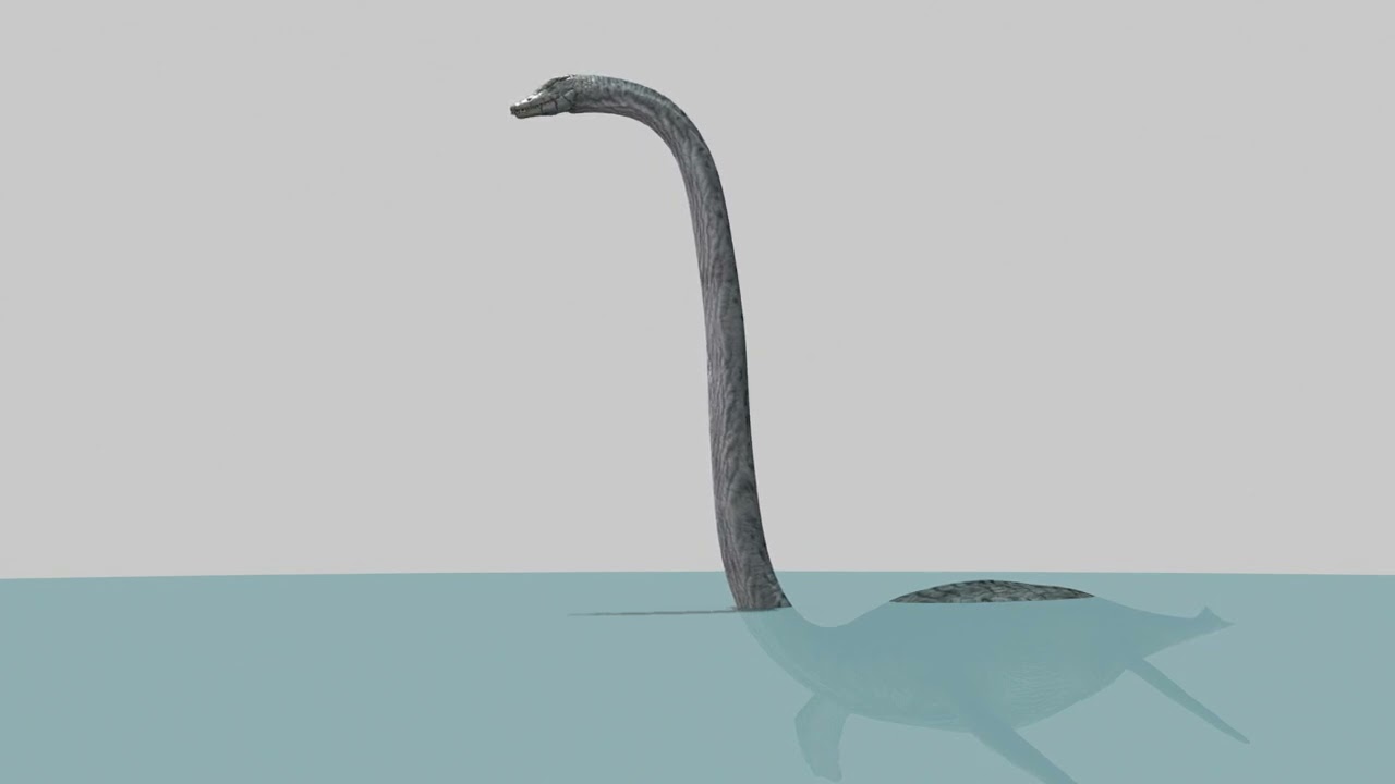 실제 수장룡 Elasmosaur - 8K 3D 모델