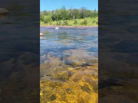 Maravilloso Cosquin 💕😍 en la pcia de Córdoba 🥰#sierrasdecordoba