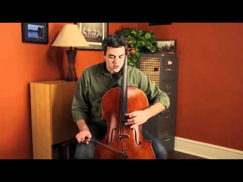 The Seagull Effect - Demonstration