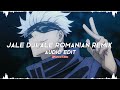 Jale Djeale Romanian Remix Full Version Edit Audio