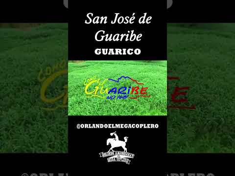 SAN JOSE DE GUARIBE GUARICO #llano #campo #guarico #guaribe #veguero #campesino #shorts #short #fyp