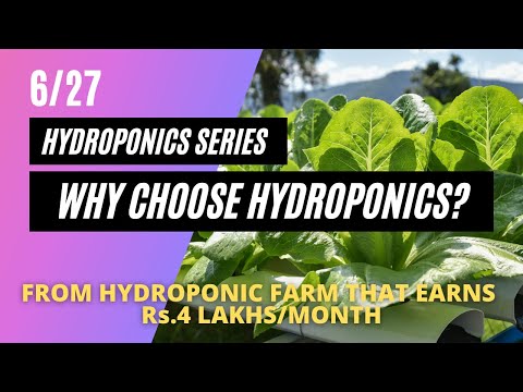 Why choose hydroponics? | 6/27