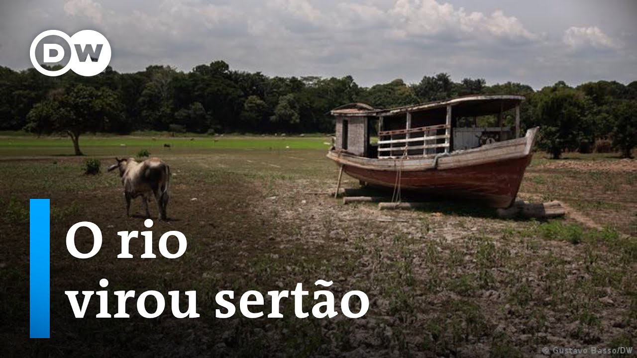 A devastadora seca na Amazônia