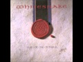 Whitesnake - Kitten's Got Claws - Remix 
