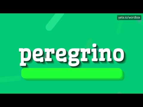 PEREGRINO - HOW TO PRONOUNCE IT!?