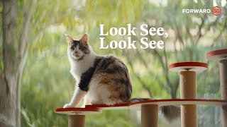Look See, Look See (Cutdown)
