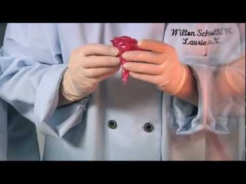 download lagu mp3 mp4 Sugar Artistry Classes, download lagu Sugar Artistry Classes gratis, unduh video klip Sugar Artistry Classes