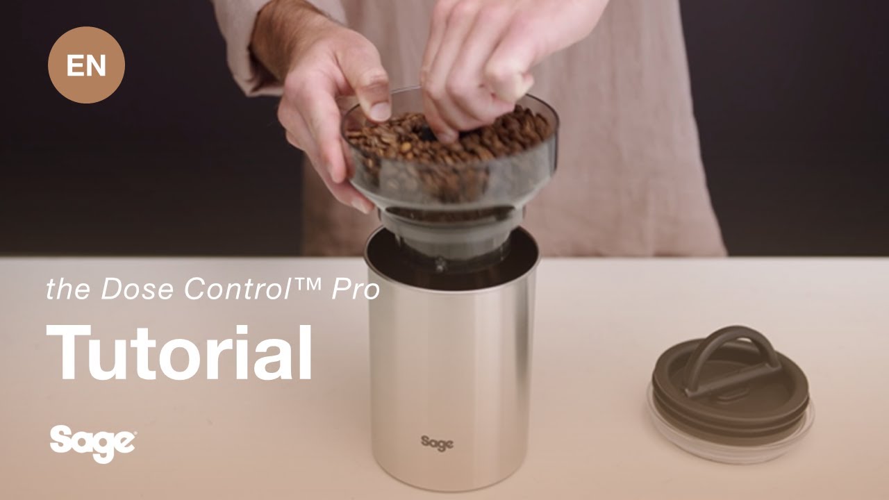 Hur man förvarar bönor