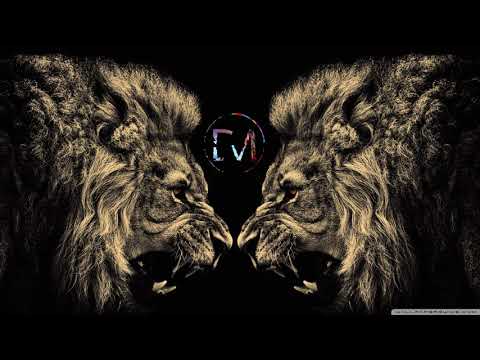 The Cold Stares - Sleeping with Lions