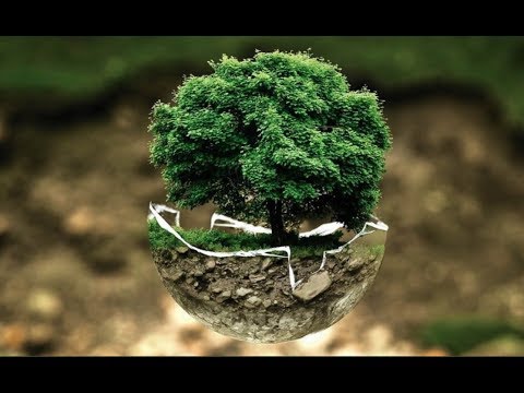 Siamo Noi, 22 aprile 2020 - Inquinamento e pandemia: esiste una relazione?