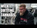 Week 1 Quitting Cannabis | First EVER Anxiety Attack | Chatting With Georgie Boy