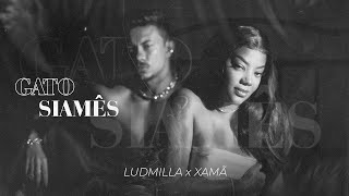 Ludmilla, Xamã - Gato Siamês