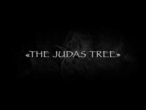 Luke Gasser - The Judas Tree (Official Video)