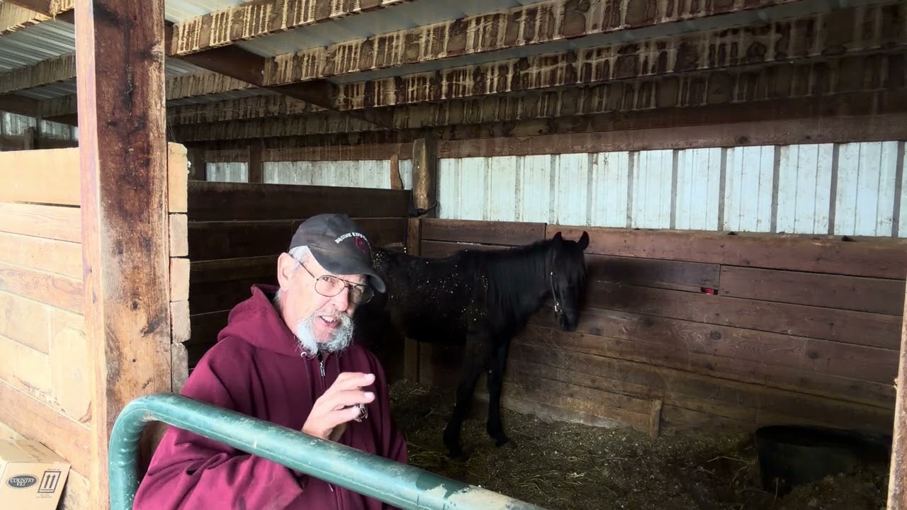 Introducing myself to anna and assessing where she’s at mentally, physically and emotionally 