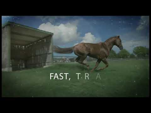 Eddie Stinson - Dash Ta Fame X Casino Lights