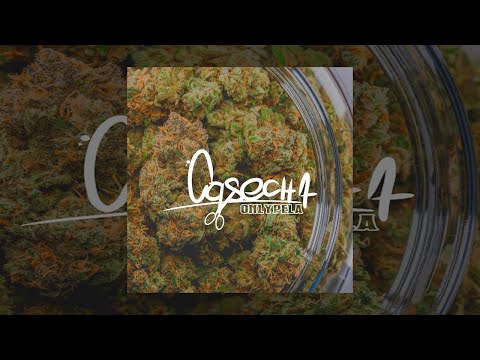 ONLYPELA - COSECHA - FULL EP