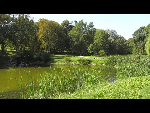 Dani slavonske šume