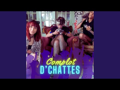 Complot d'chattes
