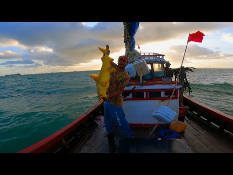 Pescaria em Alto Mar: Muita Fartura!! Só Captura de Gigantes do Oceano! Ação Insana!