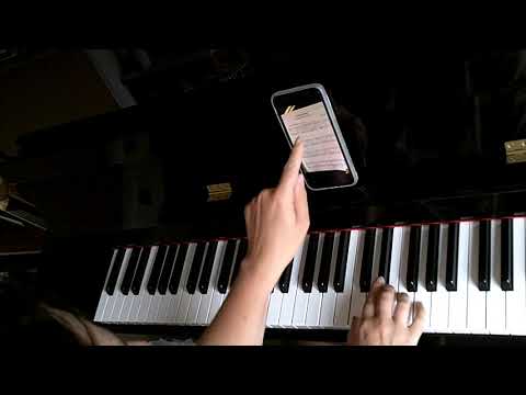 "The Flying Trunk" by Yvonne Adair from Sketches from Hans Anderson