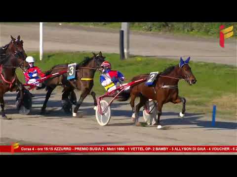 IV corsa del 11 Febbraio 2023 - Cat. G - Metri 1600 - Asp. Allievi