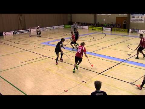 09.01.2016 SB Hirvensalo - LaJy maalikooste