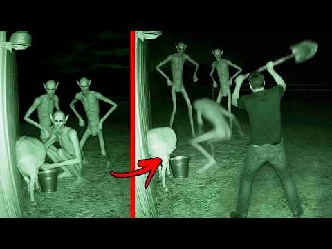 Top 10 Unexplained Creatures Caught Clearly on Camera