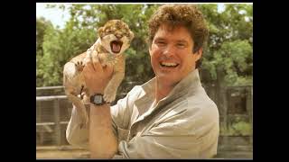 David Hasselhoff: &quot;Joined At The Heart&quot;  1992