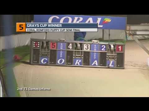 2018 ROMFORD PUPPY CUP - 3RD SEMI - T5 GRAYS CUP WINNER