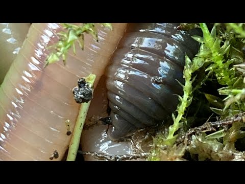 Just out of view trip 216 ( fishing with lob worms on the quiver tip)