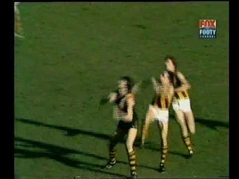 VFL R15 1982 - Richmond v Hawthorn
