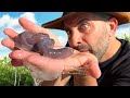 Yuck What Creature Made This Slime