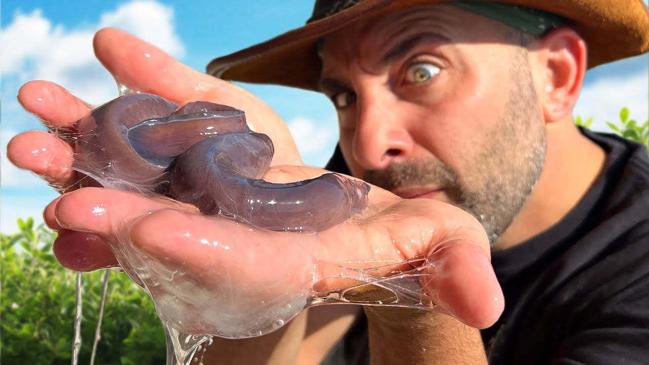 Yuck! What Creature Made this Slime?!