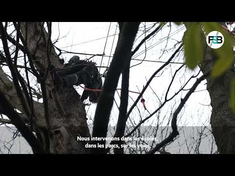 FSB Inside : Espaces verts