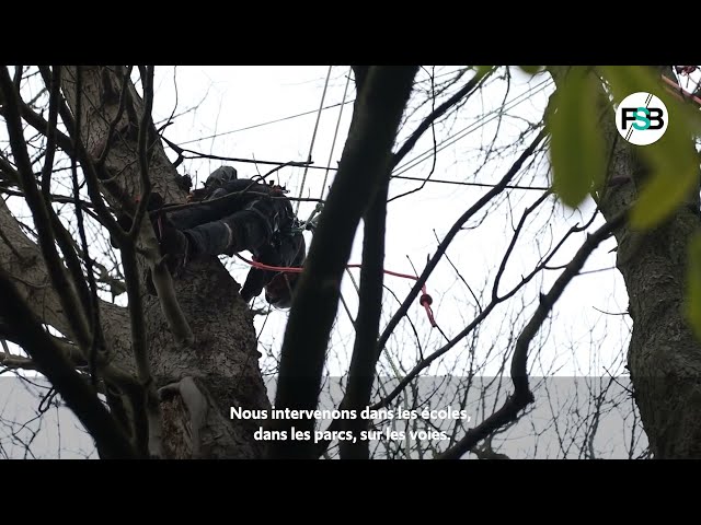 FSB Inside : Espaces verts